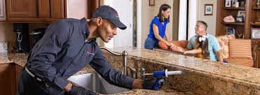 Reliable Atoka, TN Pest Control Solutions